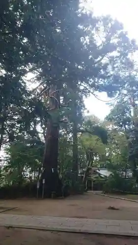 側高神社の自然