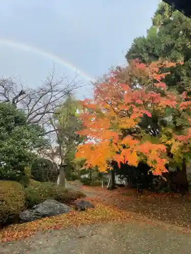 楽水亭　大龍寺の自然