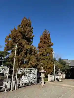 杉山神社の{uncategorized: "未分類", other: "その他", undefined: "問題あり", building: "その他建物", grave: "お墓", sacred_gate: "鳥居", guardian: "狛犬", statue: "像", buddha: "仏像", history: "歴史", nature: "自然", garden: "庭園", animal: "動物", pagoda: "塔", temizu: "手水舎", mountain_gate: "山門・神門", sanctuary: "本殿・本堂", subordinate: "末社・摂社", art: "芸術", scenery: "景色", jizo: "地蔵", ema: "絵馬", goshuin: "御朱印", omikuji: "おみくじ", items: "授与品その他", amulet: "お守り", goshuincho: "御朱印帳", eats: "食事", festival: "お祭り", votive_dance: "神楽", shichigosan: "七五三参", wedding: "結婚式", experience: "体験その他", initially: "初詣", around: "周辺", anti_infection: "感染症対策"}