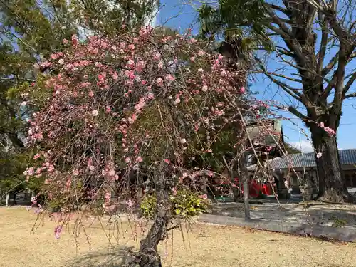 美奈宜神社(福岡県)