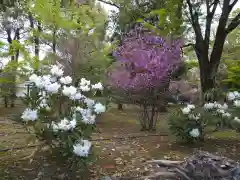 仁和寺(京都府)