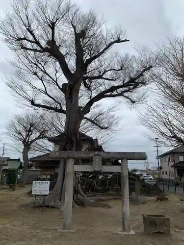 五井若宮八幡神社の鳥居