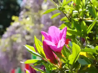 惣社神社のその他建物