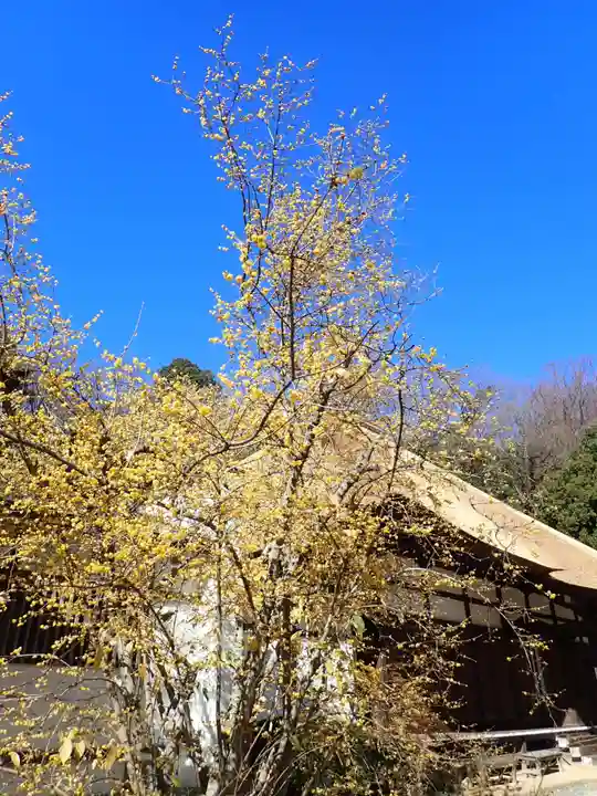 横浜 西方寺(神奈川県)