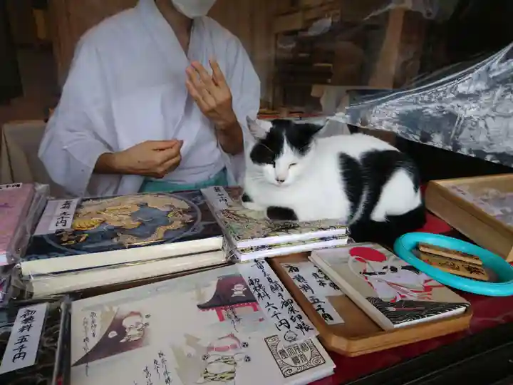 賀茂別雷神社の動物