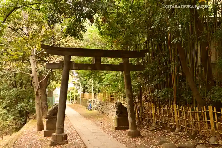渋谷氷川神社の鳥居