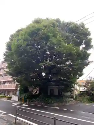 小野神社(東京都)