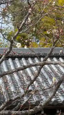 高台寺（高台寿聖禅寺・高臺寺）(京都府)