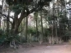 奈良の大仏の自然