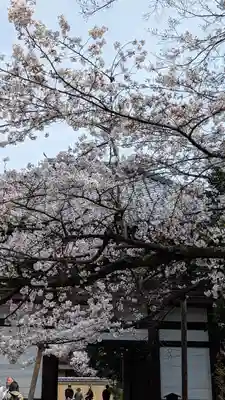 本法寺(京都府)