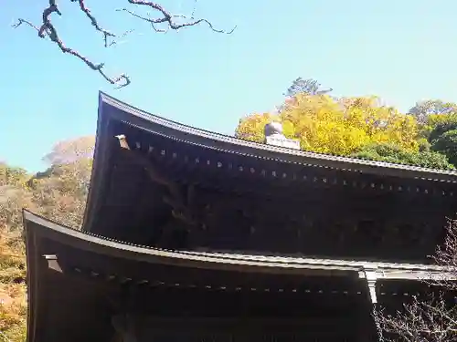 瑞泉寺の本殿・本堂
