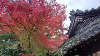 仁和寺の{uncategorized: "未分類", other: "その他", undefined: "問題あり", building: "その他建物", grave: "お墓", sacred_gate: "鳥居", guardian: "狛犬", statue: "像", buddha: "仏像", history: "歴史", nature: "自然", garden: "庭園", animal: "動物", pagoda: "塔", temizu: "手水舎", mountain_gate: "山門・神門", sanctuary: "本殿・本堂", subordinate: "末社・摂社", art: "芸術", scenery: "景色", jizo: "地蔵", ema: "絵馬", goshuin: "御朱印", omikuji: "おみくじ", items: "授与品その他", amulet: "お守り", goshuincho: "御朱印帳", eats: "食事", festival: "お祭り", votive_dance: "神楽", shichigosan: "七五三参", wedding: "結婚式", experience: "体験その他", initially: "初詣", around: "周辺", anti_infection: "感染症対策"}