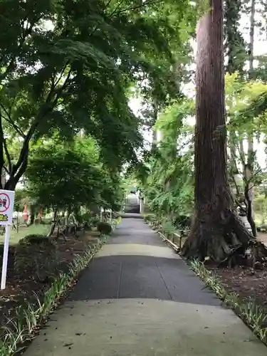 八幡宮(茨城県)