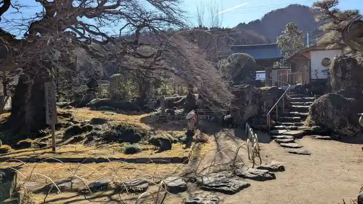西善寺の庭園