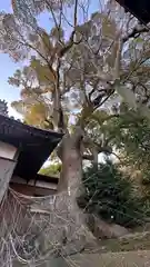 八幡神社(兵庫県)