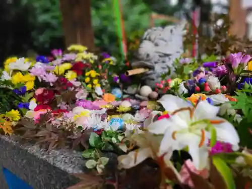 滑川神社 - 仕事と子どもの守り神の手水