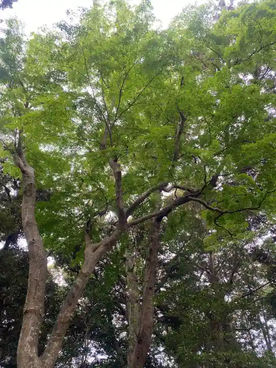 成田熊野神社(千葉県)