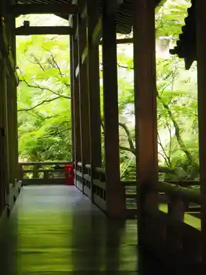 禅林寺(永観堂)(京都府)