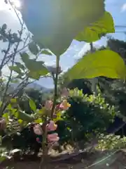 河内阿蘇神社の自然