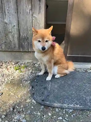荒田観音堂(福岡県)