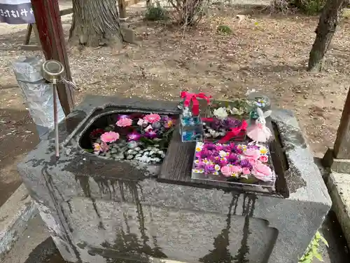 千代ケ岡八幡宮(栃木県)