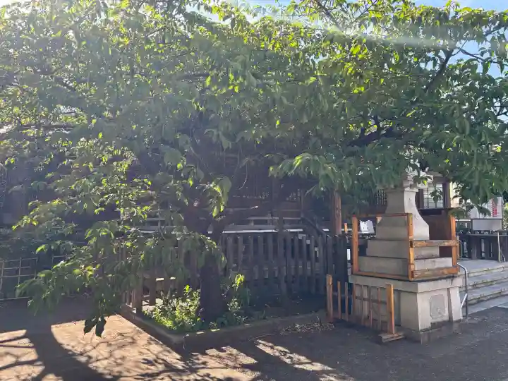 新宿下落合氷川神社の{uncategorized: "未分類", other: "その他", undefined: "問題あり", building: "その他建物", grave: "お墓", sacred_gate: "鳥居", guardian: "狛犬", statue: "像", buddha: "仏像", history: "歴史", nature: "自然", garden: "庭園", animal: "動物", pagoda: "塔", temizu: "手水舎", mountain_gate: "山門・神門", sanctuary: "本殿・本堂", subordinate: "末社・摂社", art: "芸術", scenery: "景色", jizo: "地蔵", ema: "絵馬", goshuin: "御朱印", omikuji: "おみくじ", items: "授与品その他", amulet: "お守り", goshuincho: "御朱印帳", eats: "食事", festival: "お祭り", votive_dance: "神楽", shichigosan: "七五三参", wedding: "結婚式", experience: "体験その他", initially: "初詣", around: "周辺", anti_infection: "感染症対策"}