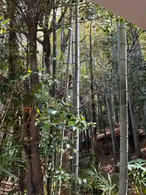 長坂大歳神社(兵庫県)