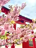 蚊里田八幡宮の{uncategorized: "未分類", other: "その他", undefined: "問題あり", building: "その他建物", grave: "お墓", sacred_gate: "鳥居", guardian: "狛犬", statue: "像", buddha: "仏像", history: "歴史", nature: "自然", garden: "庭園", animal: "動物", pagoda: "塔", temizu: "手水舎", mountain_gate: "山門・神門", sanctuary: "本殿・本堂", subordinate: "末社・摂社", art: "芸術", scenery: "景色", jizo: "地蔵", ema: "絵馬", goshuin: "御朱印", omikuji: "おみくじ", items: "授与品その他", amulet: "お守り", goshuincho: "御朱印帳", eats: "食事", festival: "お祭り", votive_dance: "神楽", shichigosan: "七五三参", wedding: "結婚式", experience: "体験その他", initially: "初詣", around: "周辺", anti_infection: "感染症対策"}
