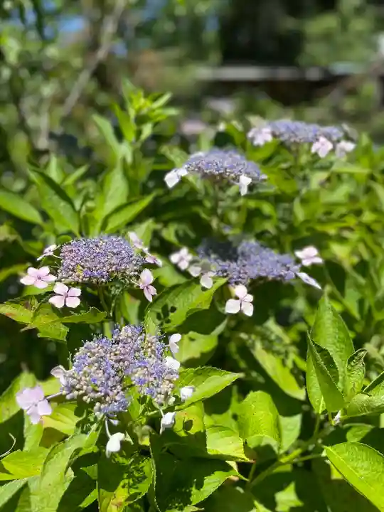 極楽寺(静岡県)