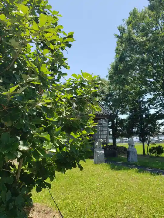 家栄神社の自然