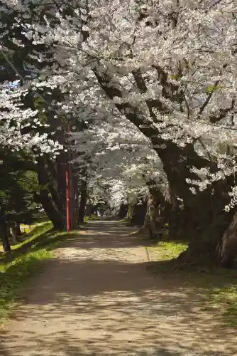 青森縣護國神社の自然