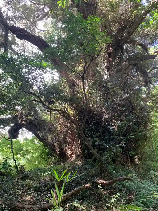 浅間神社(千葉県)