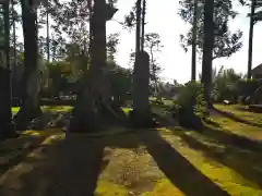 松山神社の建物その他