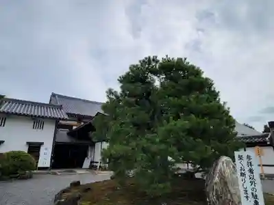 聖護院門跡のその他建物