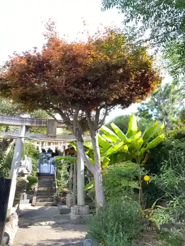 横浜御嶽神社の鳥居