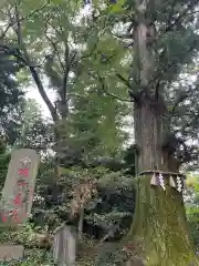 高尾山薬王院の建物その他