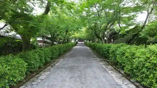 西教寺の建物その他