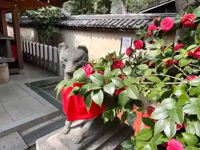 杭全神社(大阪府)