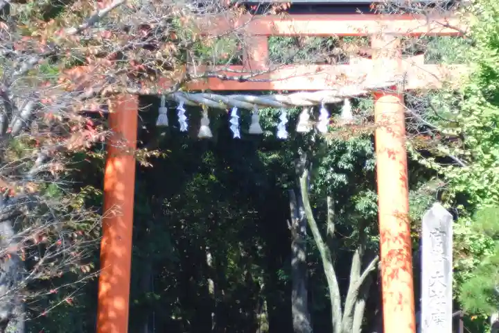 廣瀬大社(奈良県)