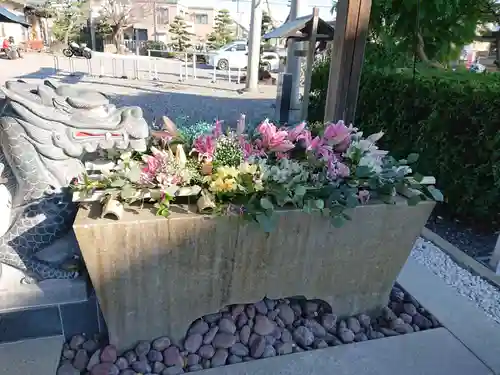 大歳神社の手水