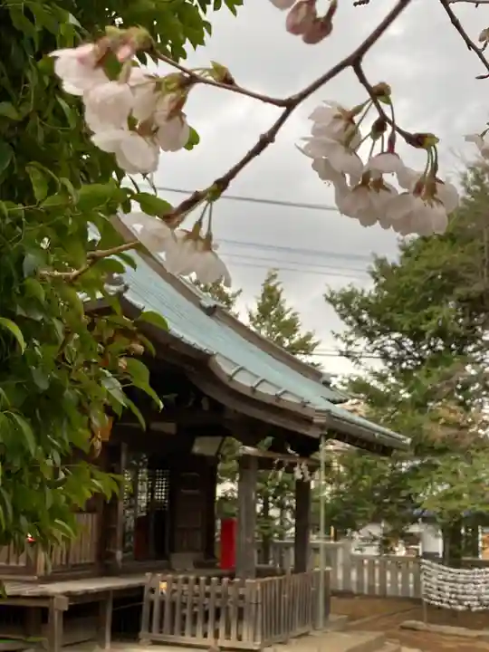 尉殿神社の本殿・本堂