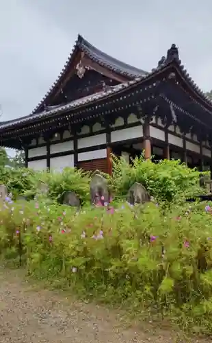 般若寺 ❁﻿コスモス寺❁の建物その他