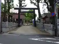 高円寺氷川神社の鳥居