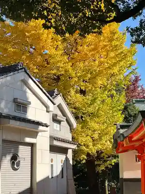 穴八幡宮(東京都)