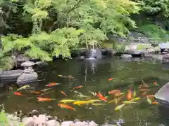 長谷寺(神奈川県)