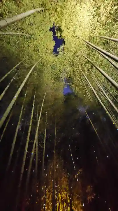 高台寺(高台寿聖禅寺・高臺寺)(京都府)