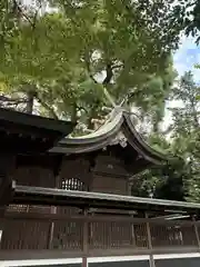 鳩ヶ谷氷川神社(埼玉県)