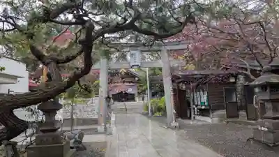 彌彦神社　(伊夜日子神社)の鳥居
