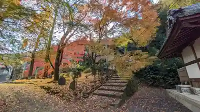 岩屋寺(京都府)