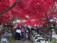 大山寺(神奈川県)